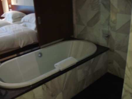 Park Hyatt Zurich Park Twin Bathtub
