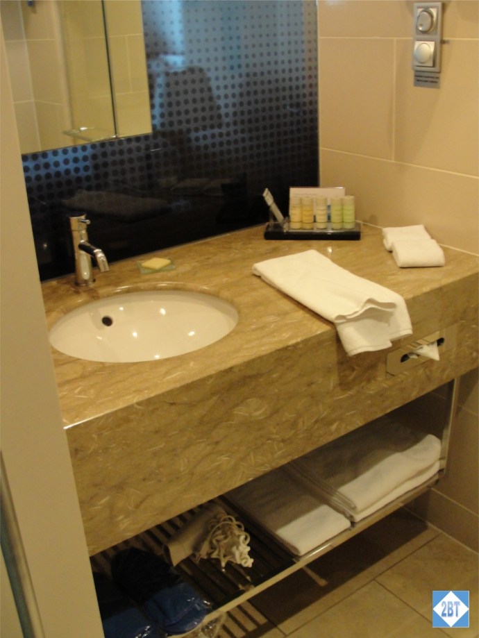 Radisson Blu Istanbul Twin Room Sink & Vanity