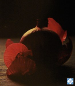 QF 8 First Class Menu Cover