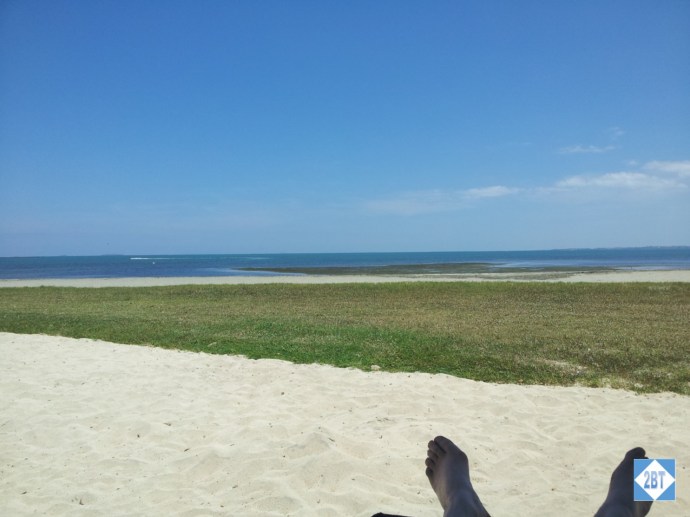 View from the lounge chair