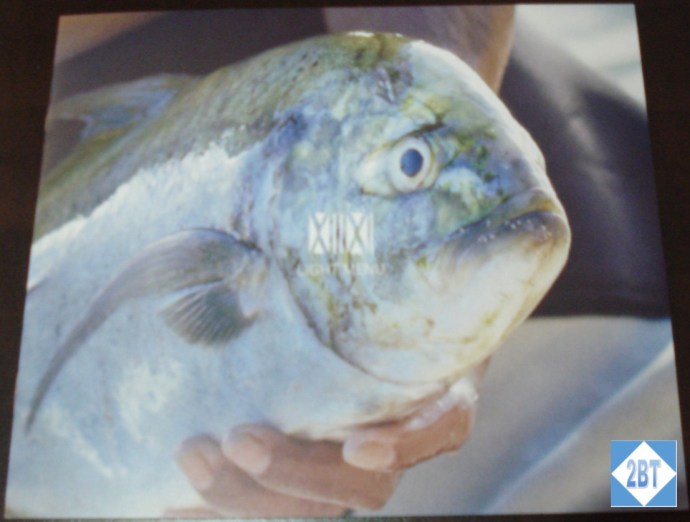 Fiji Airways Business Class Menu Cover