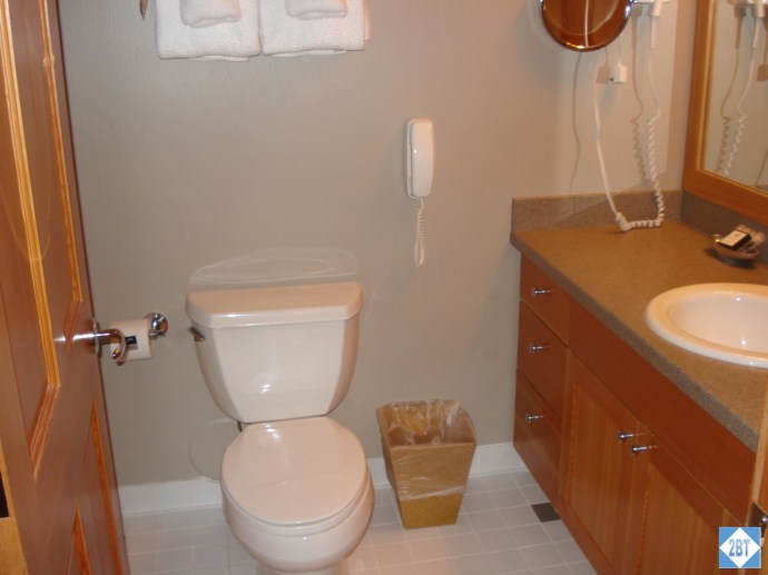 The Hall Bath features a counter with lots of drawer space underneat