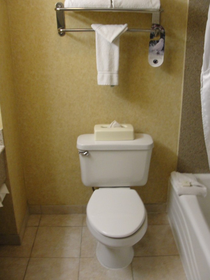 hi-vail-toilet